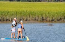 Paddleboarding through the Folly River marsh